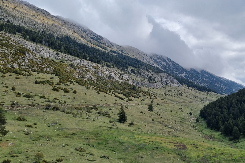šp11-001